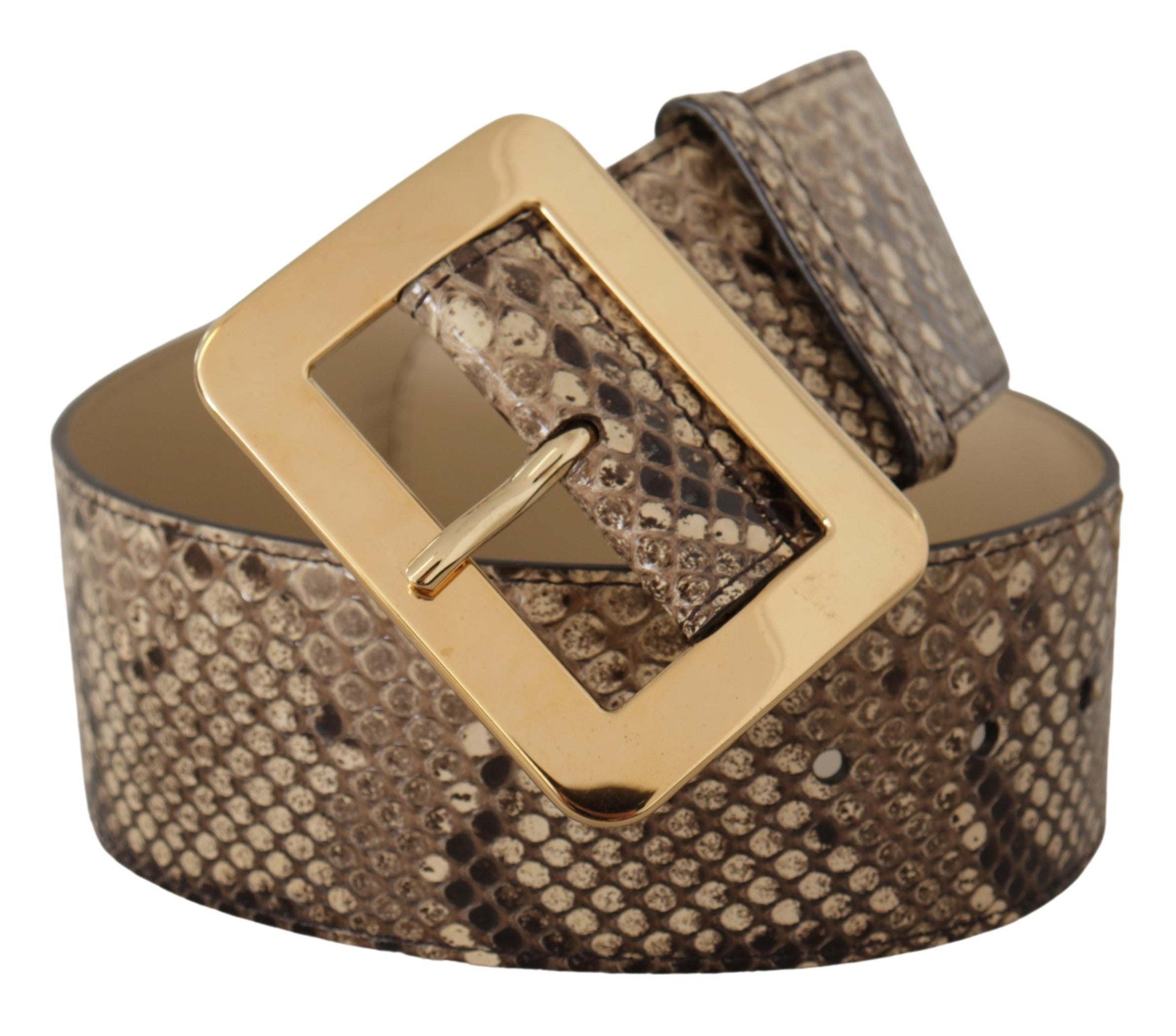 Dolce & Gabbana Brauner exotischer breiter Gürtel aus Leder mit goldener Metallschnalle