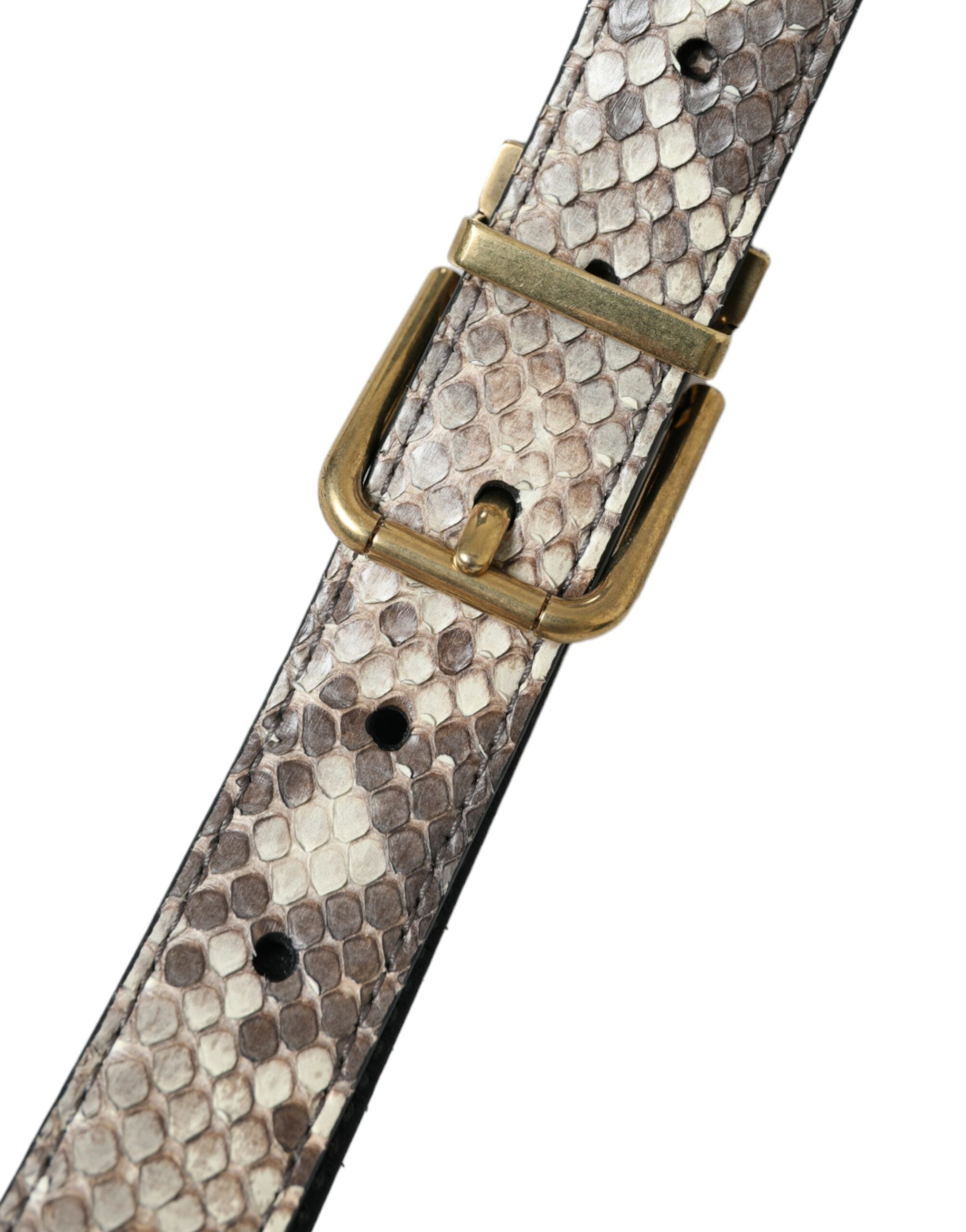 Dolce & Gabbana Brauner Pythonledergürtel mit goldener Metallschnalle
