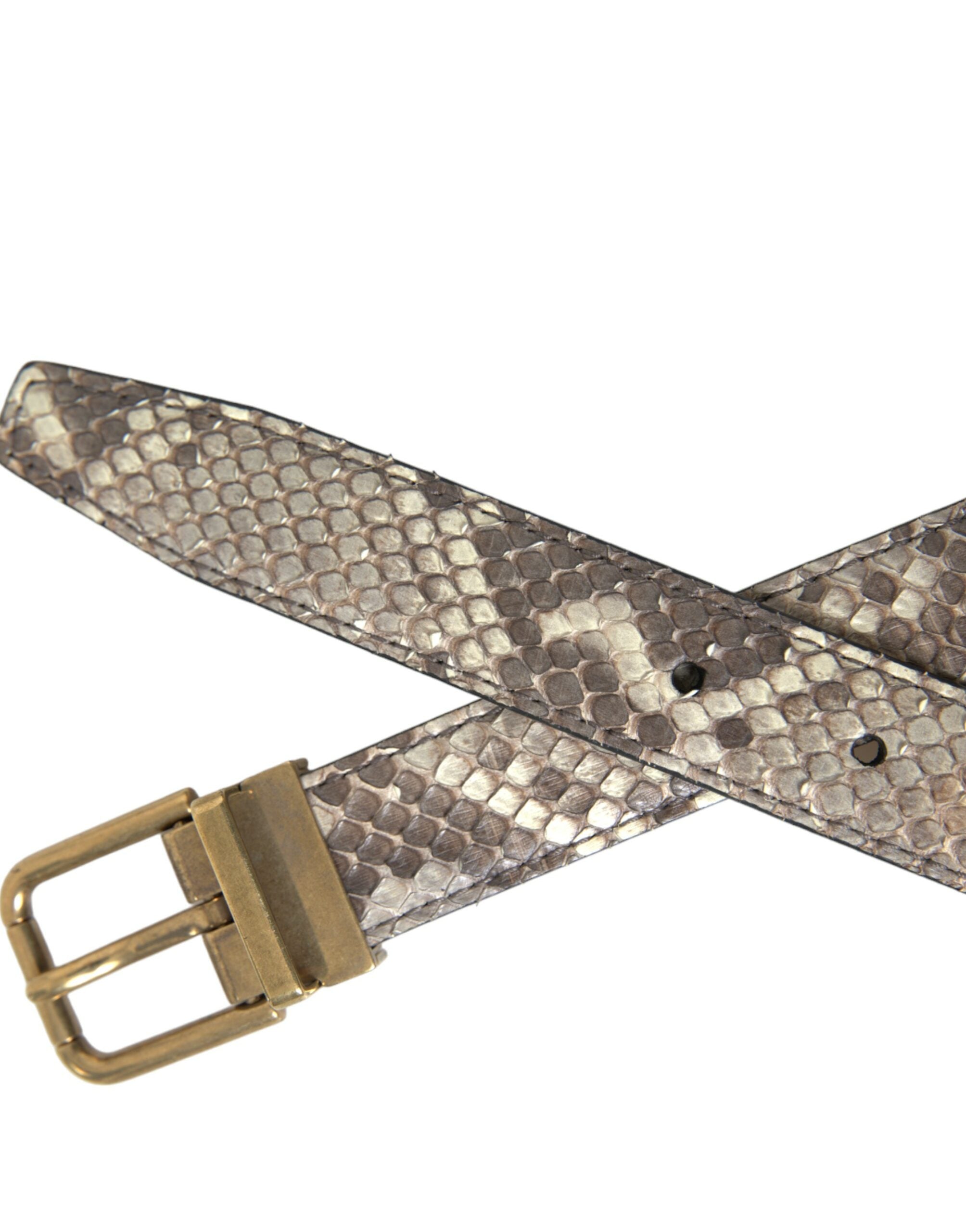 Dolce & Gabbana Brauner Pythonledergürtel mit goldener Metallschnalle